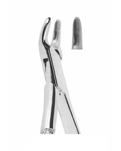 Upper Incisors,Premolars Roots 