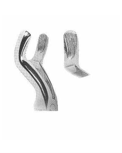 Upper Third Molars