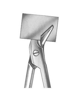  Scissors 