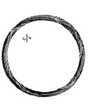 Steel Wire coils