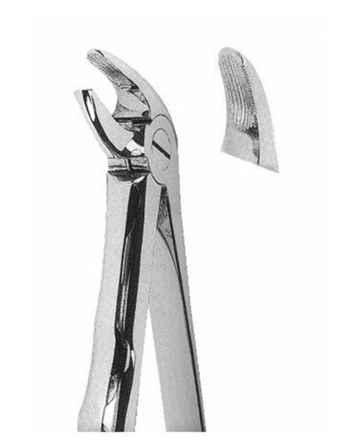 Lower Incisors And Canines 