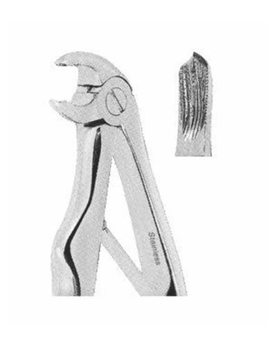 Lower Molars 