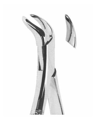 Lower Molars 