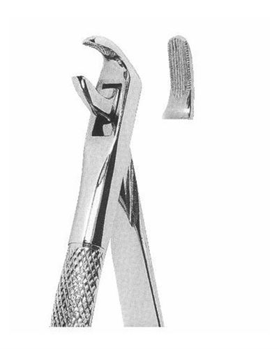 Lower Canines And Premolars