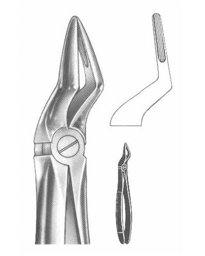 Upper Roots