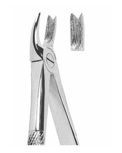 Upper Molars Right