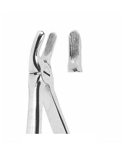 Upper Molars Right
